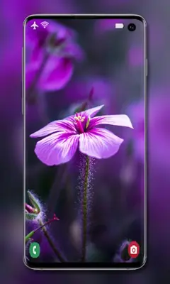 Purple Wallpaper android App screenshot 0